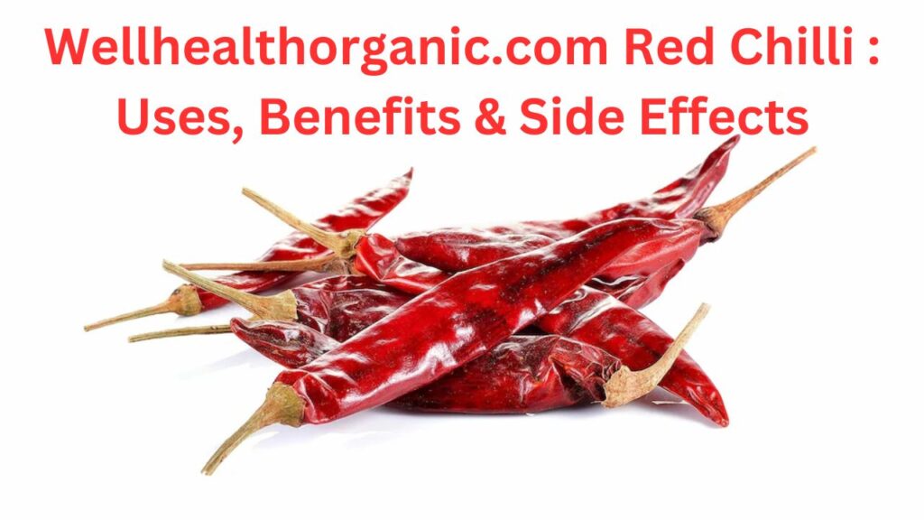 Wellhealthorganic.com Red Chilli : Uses, Benefits & Side Effects