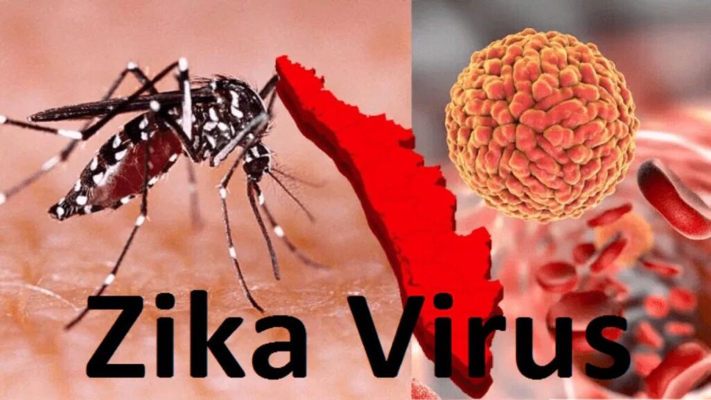 Understanding the Zika Virus: A Comprehensive Overview